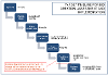 ALT TEXT: A flowchart titled